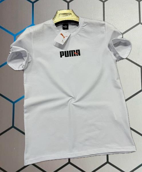 Футболка Alex Clothes (S-2XL) 4024 white (лето)
