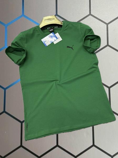 Футболка Alex Clothes (S-2XL) 4035 green (лето)