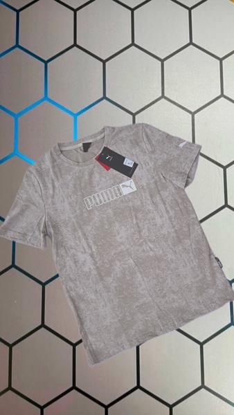 Футболка Alex Clothes (S-2XL) 4039 grey (лето)