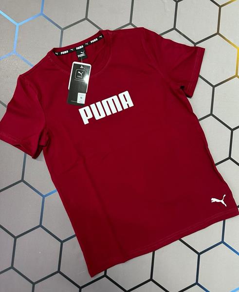 Футболка Alex Clothes (S-2XL) 4103 wine (лето)