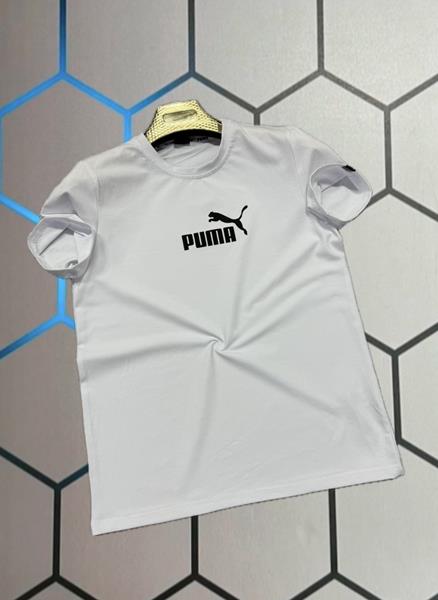 Футболка Alex Clothes (S-2XL) 4121 white (лето)