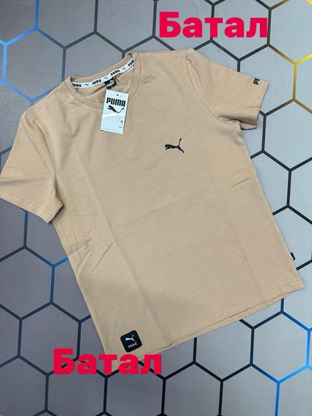 Футболка Alex Clothes (2XL-6XL) 4175 beige (лето)