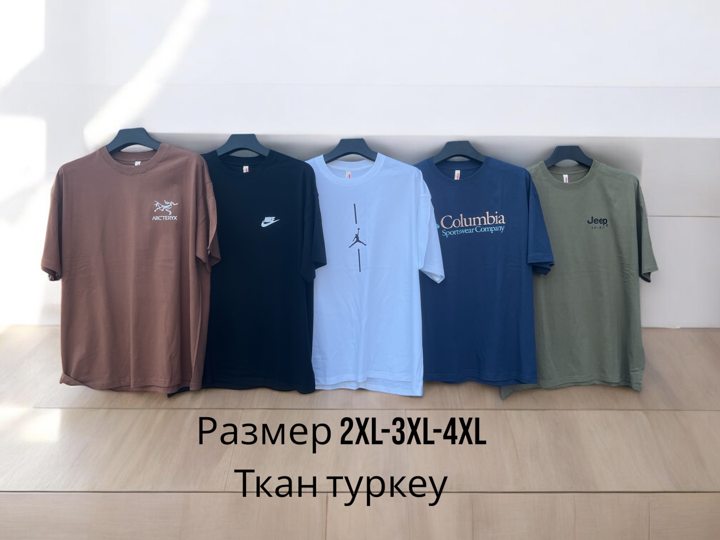 Футболка Phi Hung (2XL-4XL) P30 brown (лето)