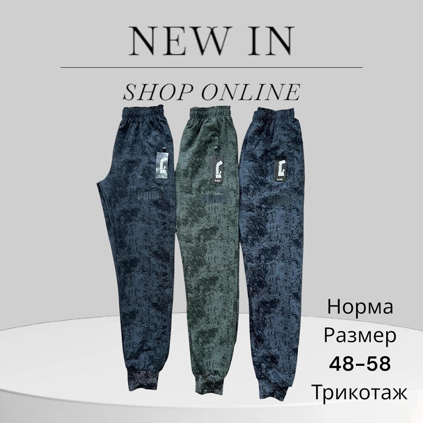 Штаны спорт Phi Hung (48-56) P43 black (деми)