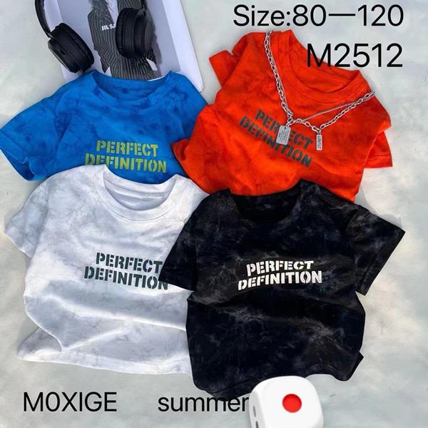 Футболка Фунтик (4-8) M2512 blue (лето)