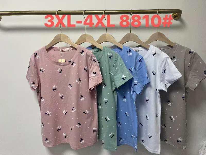 Футболка Believe (3XL-4XL) 8810 mix (лето)