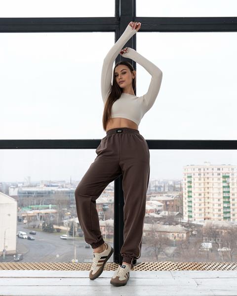 Штаны спорт AZNA (S-XL) Б101 brown (деми)