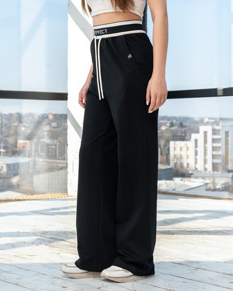 Штаны спорт AZNA (S-XL) Б50 black (деми)
