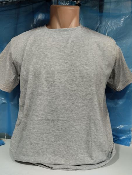 Футболка Panda (S-2XL) 1903 l.grey (лето)