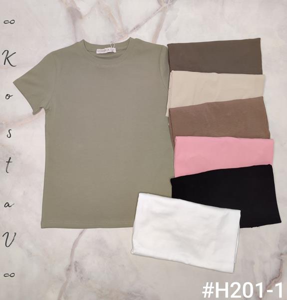 Футболка Kosta (42-48) H201-1 mix (лето)