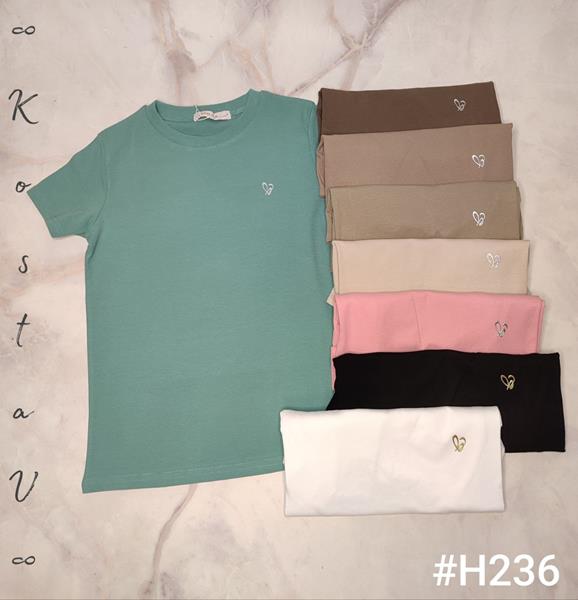 Футболка Kosta (46-48) H236 mix (лето)