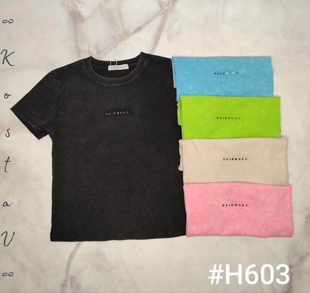 Футболка Kosta (42-48) H603 mix (лето)