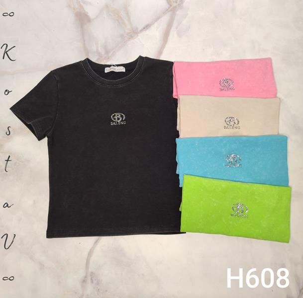 Футболка Kosta (42-48) H608 mix (лето)