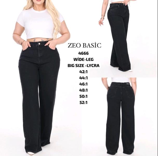 Джинсы Jeans Style (42-52) 4666 black (деми)