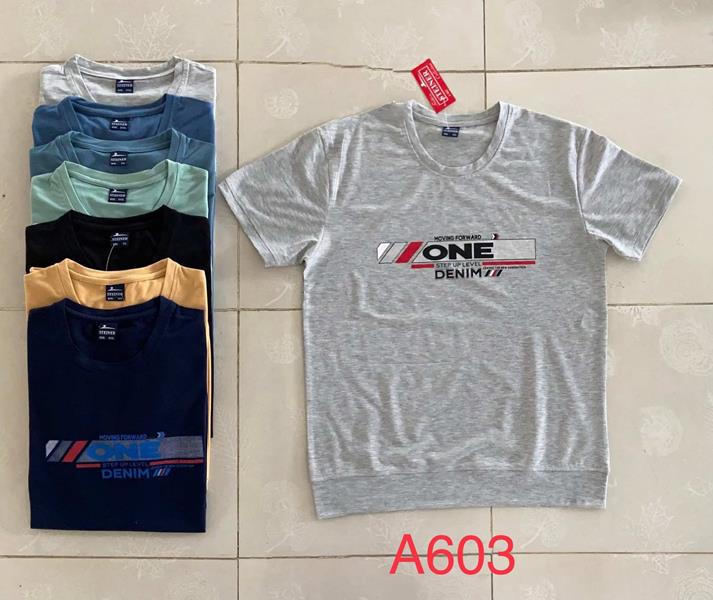 Футболка Ayden (2XL-5XL) A603 mix (лето)