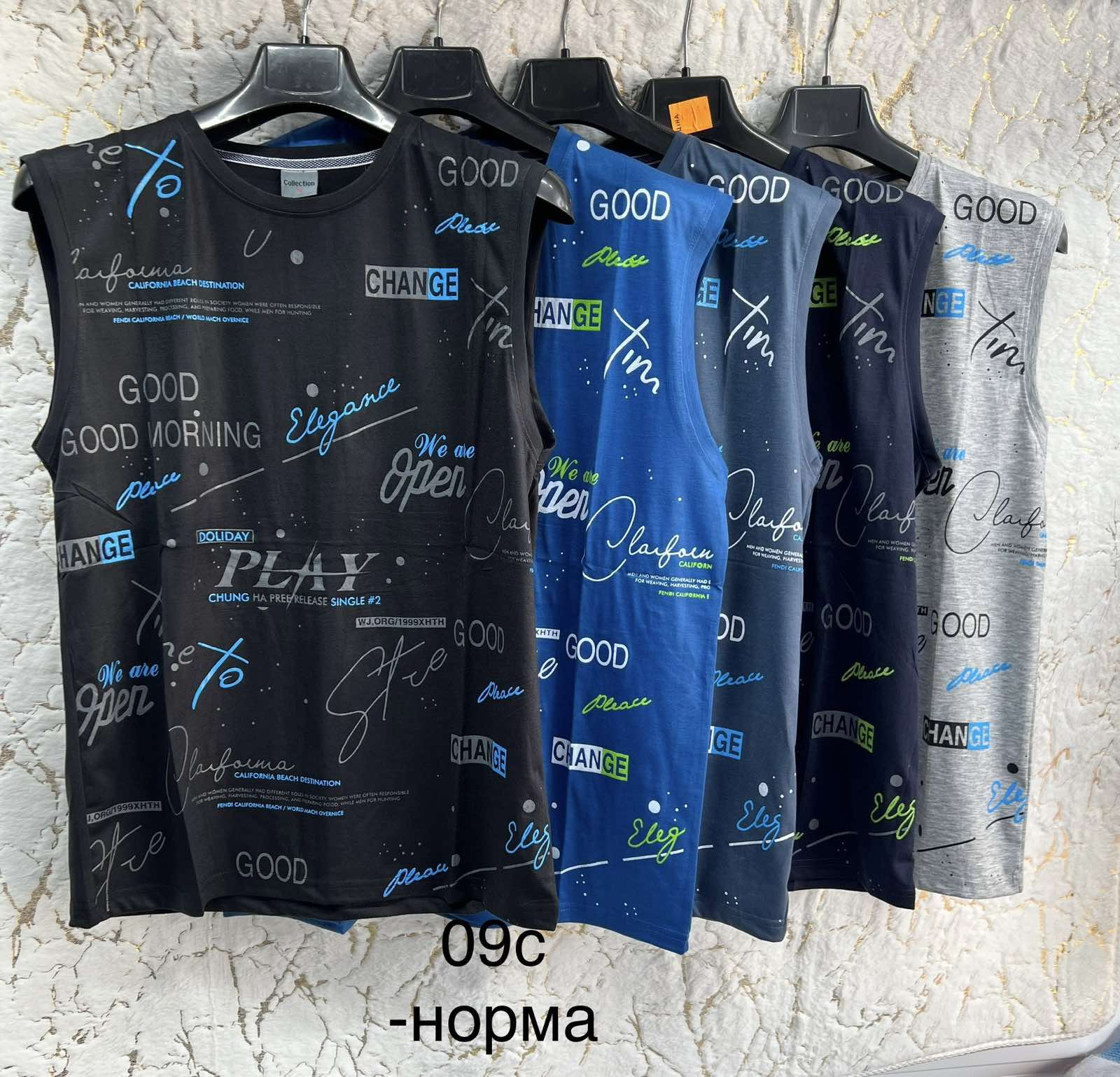 Футболка Hoan (XL-5XL) 09C mix (лето)