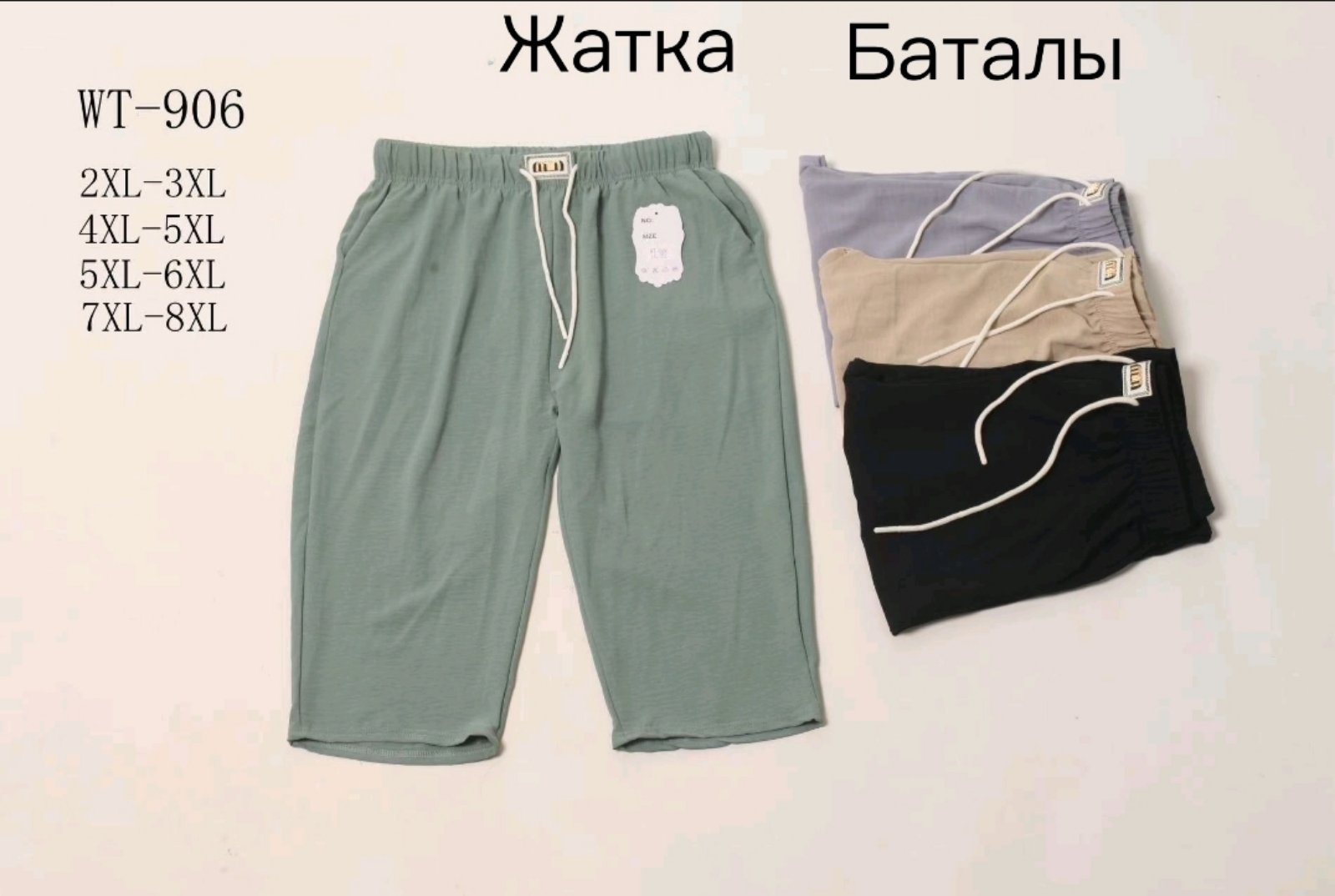 Бриджи Hoan (2XL-8XL) WT906 mix (лето)