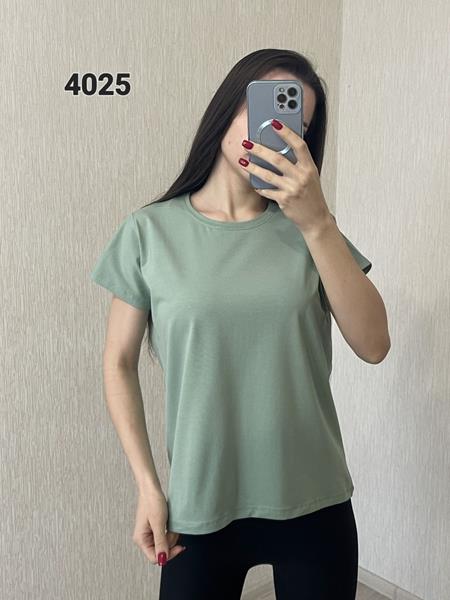 Футболка FSN (48-54) 4025 mint (лето)