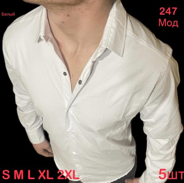 Рубашка Надийка (46-54) N4-247 white (деми)