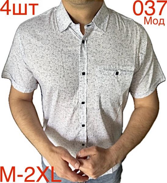 Рубашка Надийка (M-2XL) N88-037 white (лето)