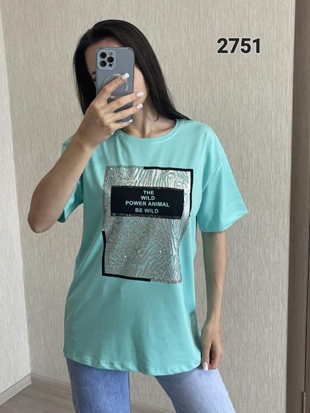 Футболка FSN (S-XL) 2751-1 l.blue (лето)