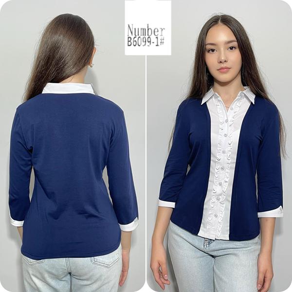 Рубашка Loyard (S-2XL) B6099-1 blue (деми)