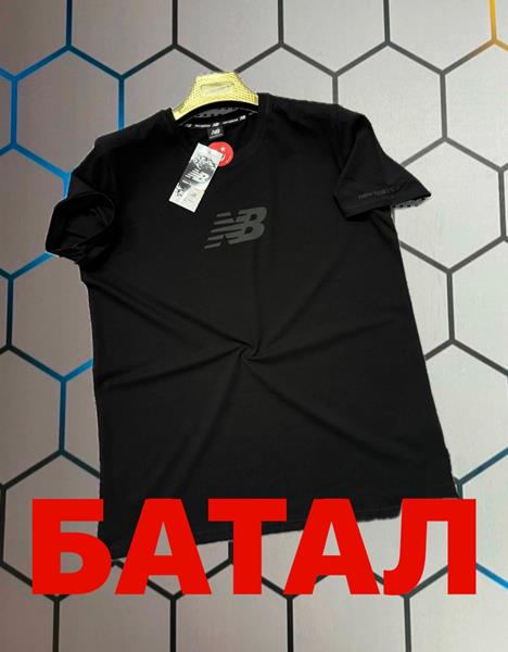 Футболка Alex Clothes (2XL-6XL) 4224 black (лето)