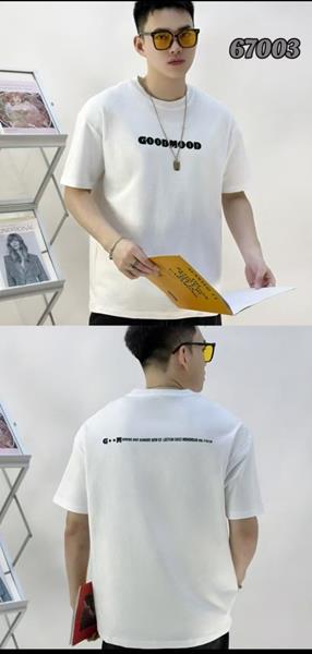 Футболка Dogan (L-4XL) 67003 white (лето)