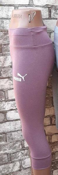 Бриджи Amok (XL-4XL) 060 pink (лето)