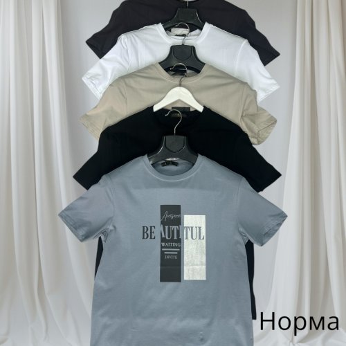 Футболка Hai (48-56) H104 white (лето) Hai H104 white