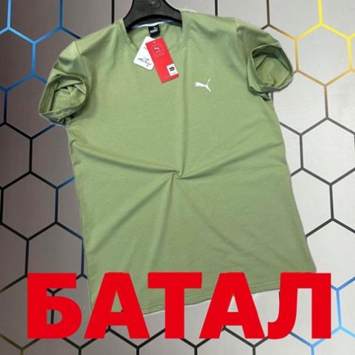 Футболка Alex Clothes (2XL-6XL) 3725 green (лето) Alex Clothes 3725 green