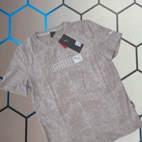 Футболка Alex Clothes (S-2XL) 4039 grey (лето) Alex Clothes 4039 grey