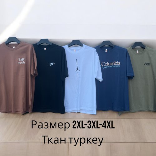 Футболка Phi Hung (2XL-4XL) P30 brown (лето) Phi Hung P30 brown
