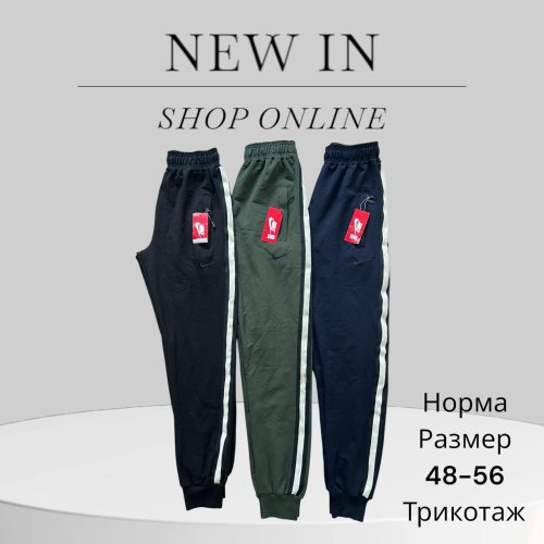 Штаны спорт Phi Hung (48-56) P1 black (деми) Phi Hung P1 black