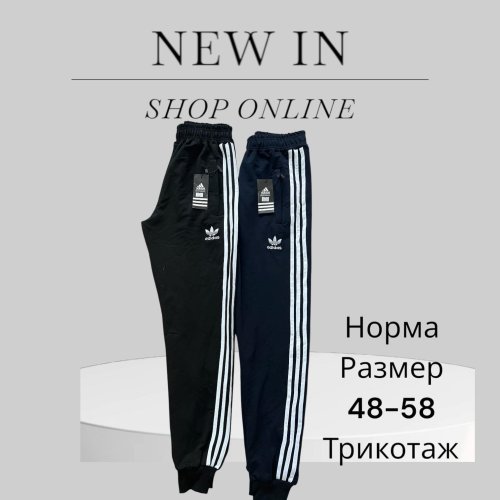 Штаны спорт Phi Hung (48-58) P46 black (деми) Phi Hung P46 black