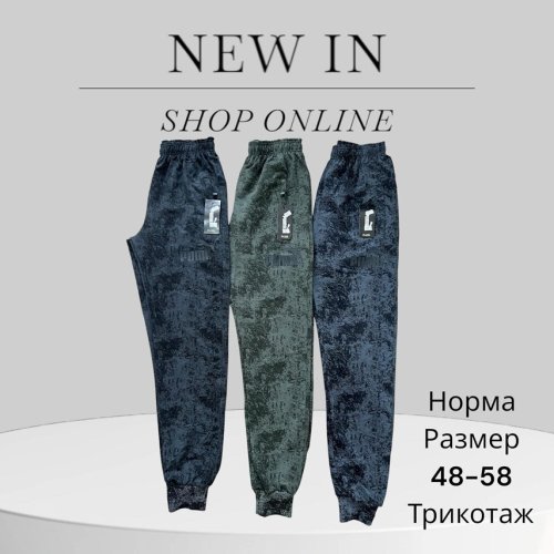 Штаны спорт Phi Hung (48-56) P43 black (деми) Phi Hung P43 black