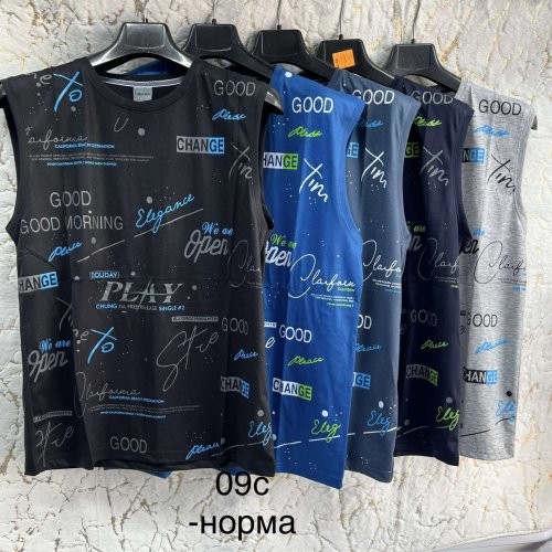 Футболка Hoan (XL-5XL) 09C mix (лето) Hoan 09C mix