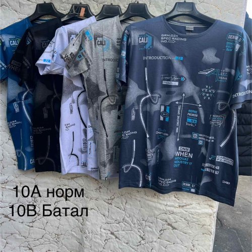 Футболка Hoan (5XL-8XL) 10A mix (лето) Hoan 10A mix