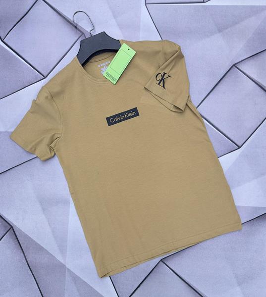 Футболка Rassul (S-2XL) 4963 brown (лето)
