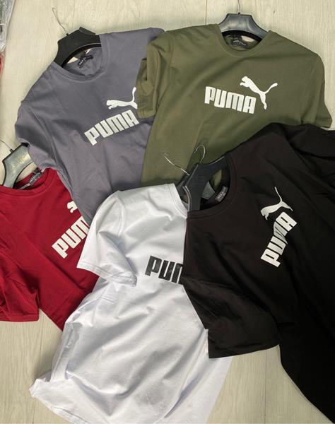 Футболка Zalov (L-2XL) ZV184 grey (лето)