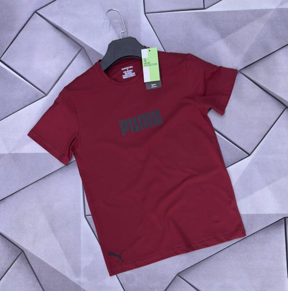 Футболка Rassul (S-2XL) 6125 wine (лето)