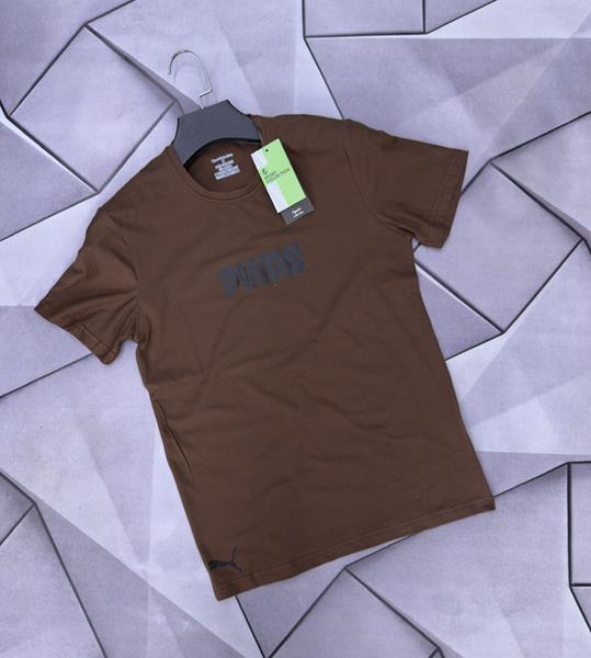 Футболка Rassul (S-2XL) 6127 brown (лето)