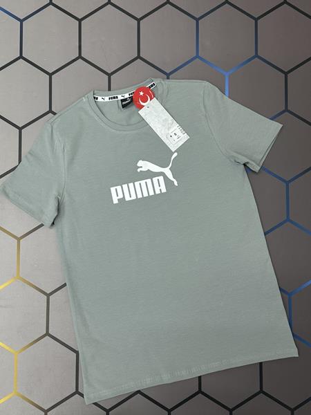 Футболка Alex Clothes (S-2XL) 4364 l.grey (лето)