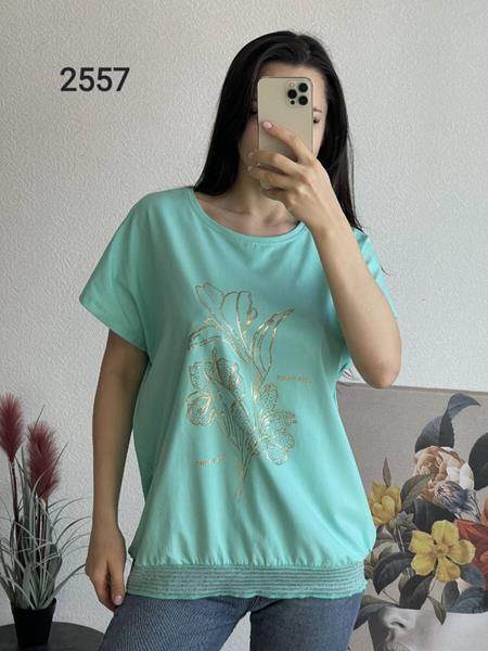 Футболка FSN (50-56) 2557 l.blue (лето)