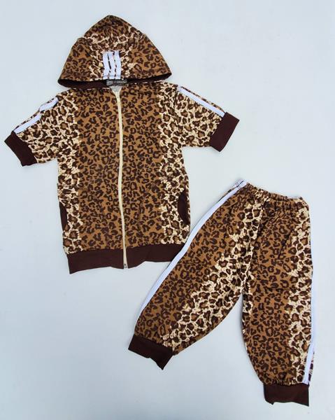 Костюм Meloria (2-6) ML954 brown (лето)