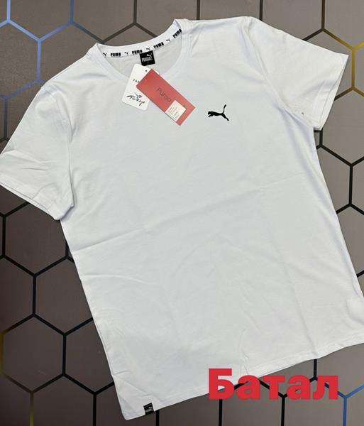 Футболка Alex Clothes (2XL-6XL) 4392 white (лето)