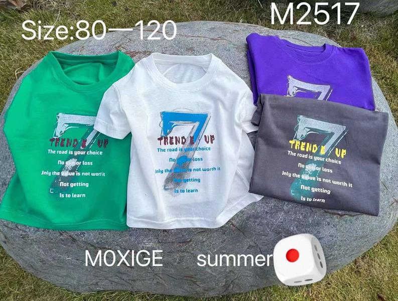 Футболка Фунтик (2-6) M2517 white (лето)