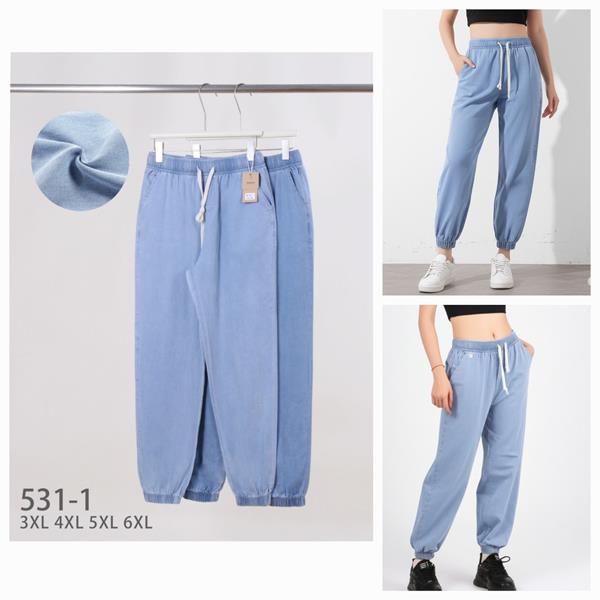 Штаны Hoan (3XL-6XL) 531-1 mix (деми)