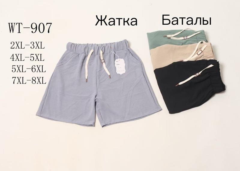 Шорты Hoan (2XL-8XL) WT907 mix (лето)