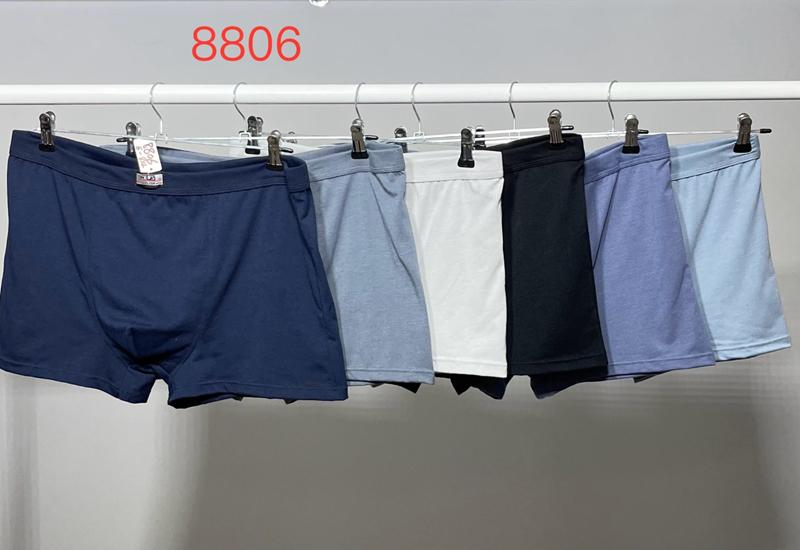 Трусы Loyard (5XL-8XL) 8806 mix (деми)